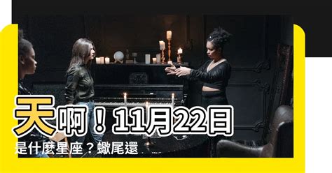 11月22日什麼星座